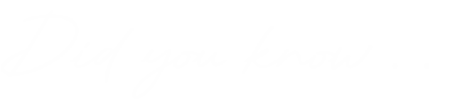 Daisy Freedman Acupuncture, traditional acupuncture in the Forest of Dean, chronic pain, emotional health, womens wellbeing, fire cupping, help with digestive issues, facial enhancement acupuncture