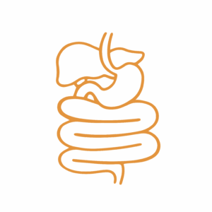 Daisy Freedman Acupuncture | Traditional acupuncture in the Forest of Dean, chronic pain, emotional health, womens wellbeing, fire cupping, help with digestive issues, facial enhancement acupuncture